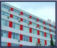 Caucasus International University